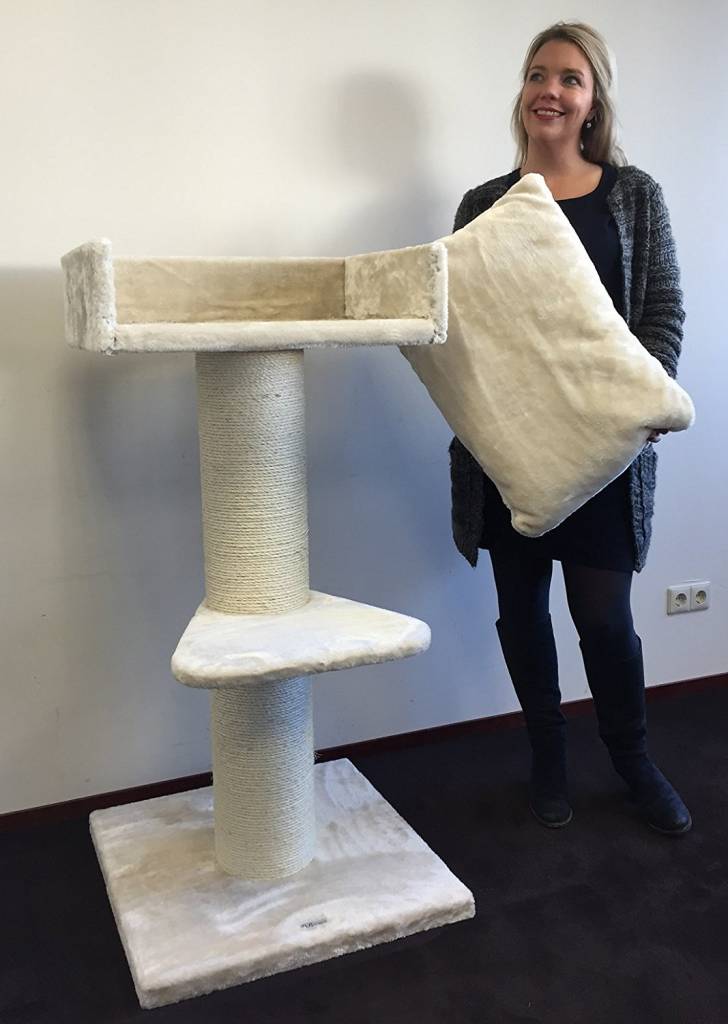 arbre a chat maine coon lounge